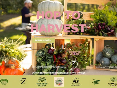 Home 5 ee1eb95493da80a29f366a019079fcf3